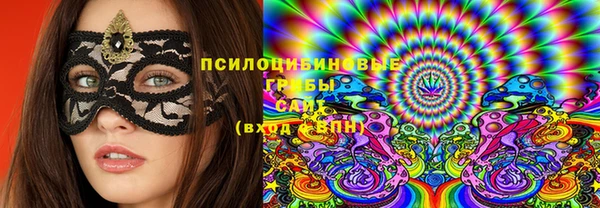 индика Армянск