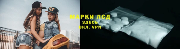 дживик Аркадак