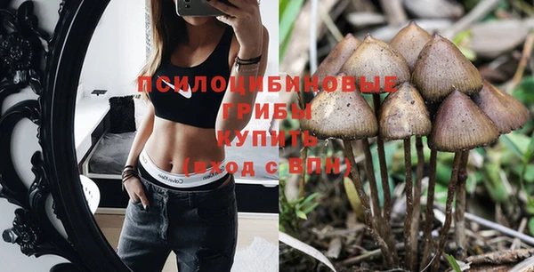 дживик Аркадак
