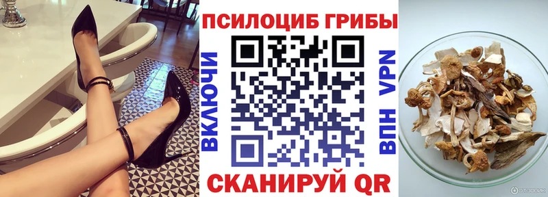 KRAKEN маркетплейс  Кыштым  Галлюциногенные грибы мухоморы  цена наркотик 